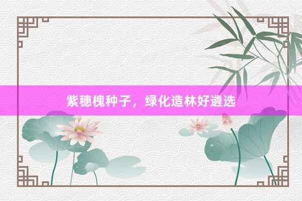 紫穗槐种子，绿化造林好遴选