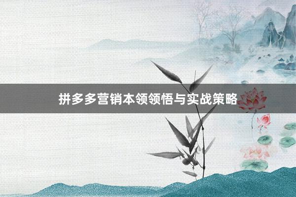 拼多多营销本领领悟与实战策略
